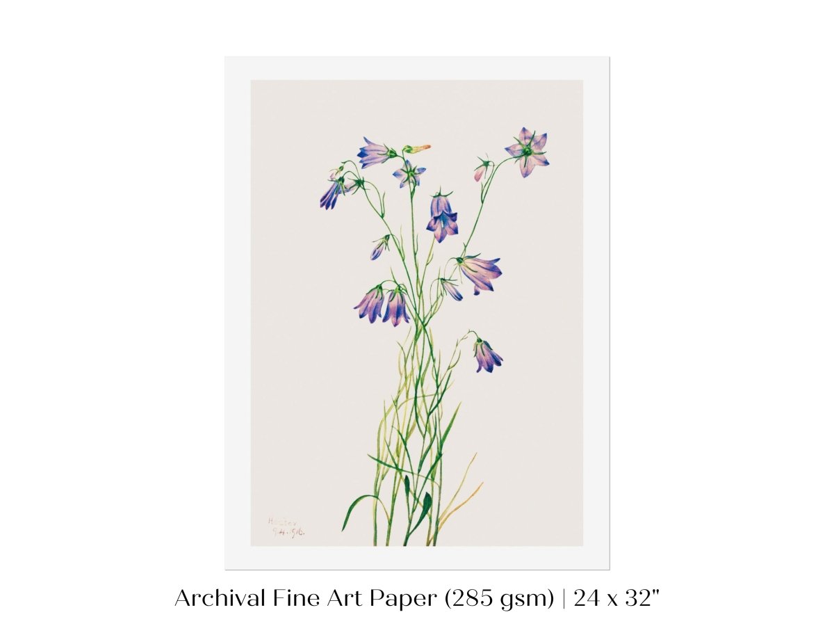 Harebell Illustration | P277 - Single Art Prints - Piccolo Fiore Prints