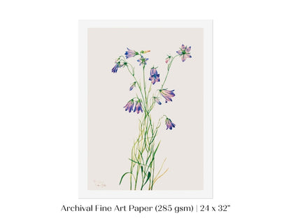 Harebell Illustration | P277 - Single Art Prints - Piccolo Fiore Prints