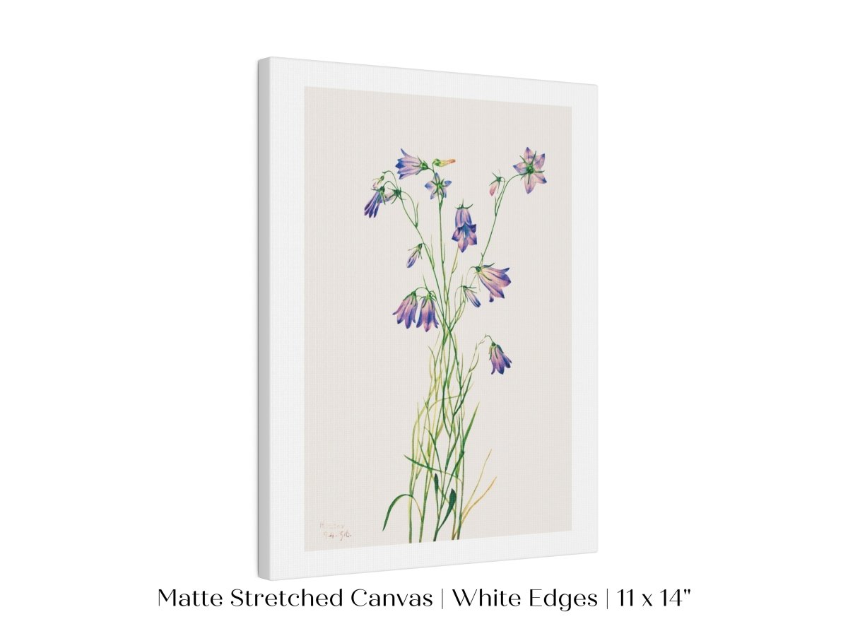 Harebell Illustration | P277 - Single Art Prints - Piccolo Fiore Prints