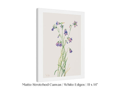 Harebell Illustration | P277 - Single Art Prints - Piccolo Fiore Prints