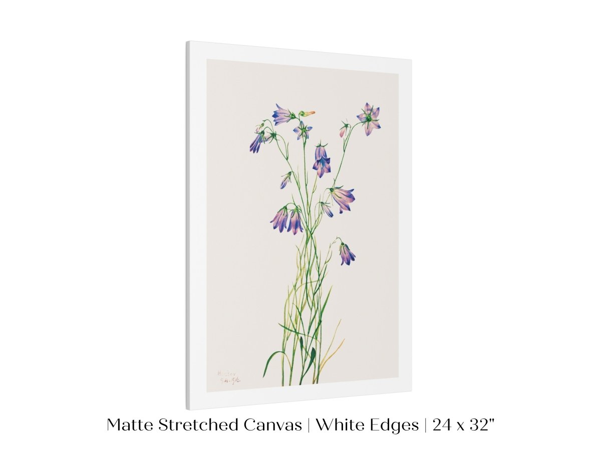 Harebell Illustration | P277 - Single Art Prints - Piccolo Fiore Prints