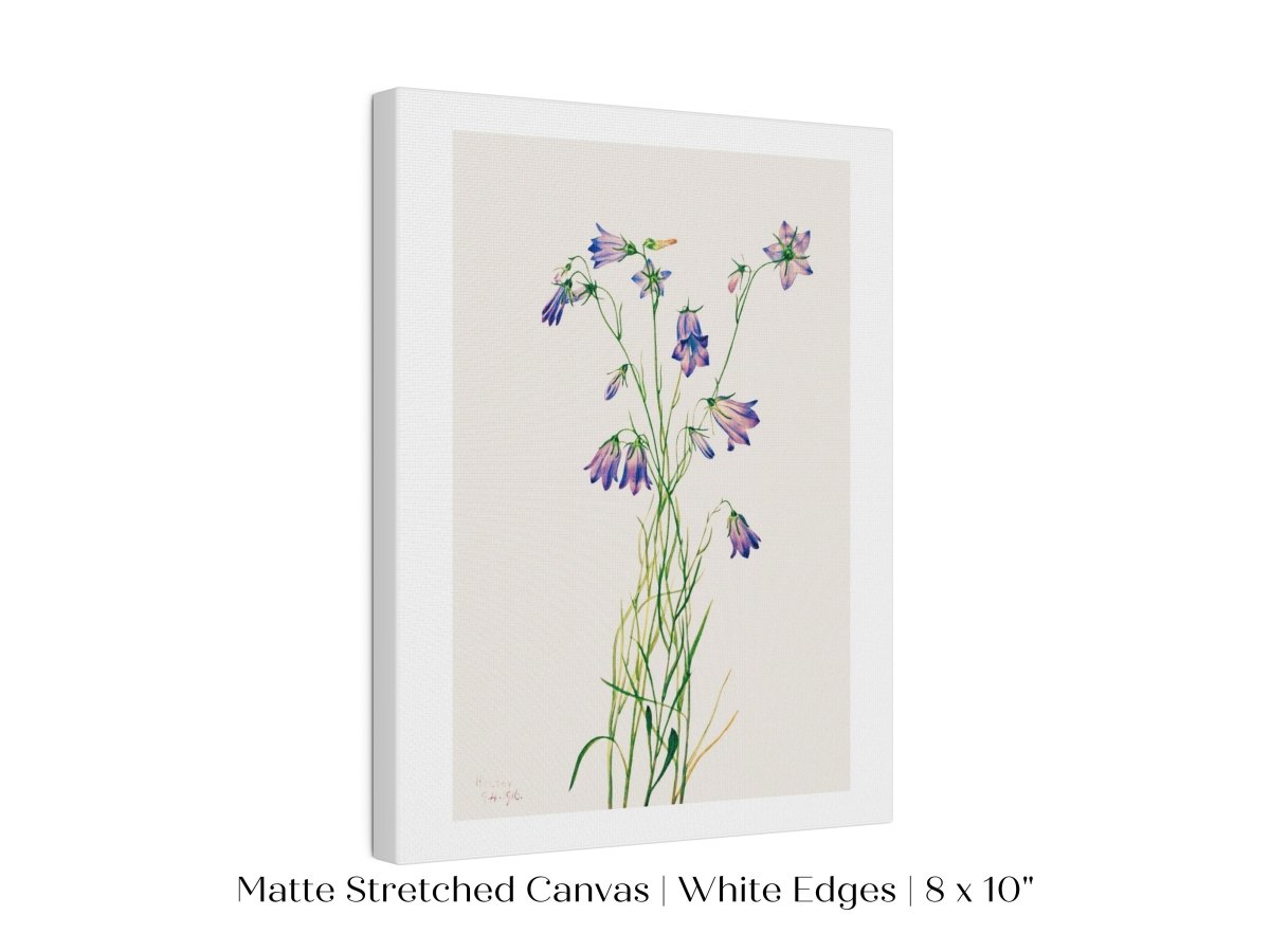Harebell Illustration | P277 - Single Art Prints - Piccolo Fiore Prints