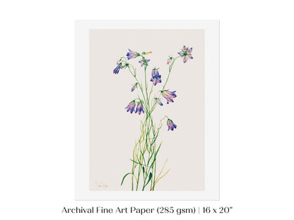 Harebell Illustration | P277 - Single Art Prints - Piccolo Fiore Prints