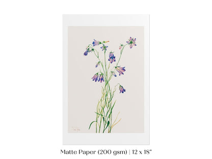 Harebell Illustration | P277 - Single Art Prints - Piccolo Fiore Prints