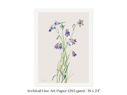 Harebell Illustration | P277 - Single Art Prints - Piccolo Fiore Prints