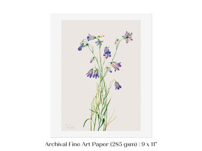 Harebell Illustration | P277 - Single Art Prints - Piccolo Fiore Prints