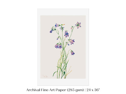 Harebell Illustration | P277 - Single Art Prints - Piccolo Fiore Prints