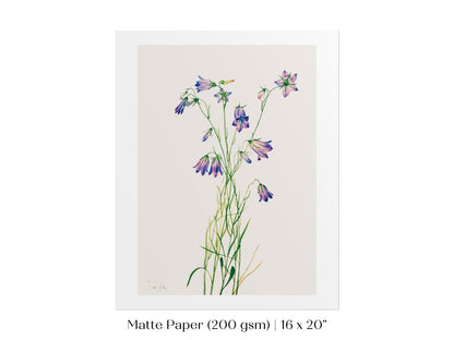 Harebell Illustration | P277 - Single Art Prints - Piccolo Fiore Prints