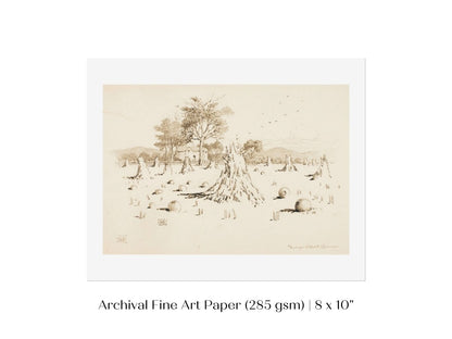 Harvest Sketch | P188 - Single Art Prints - Piccolo Fiore Prints