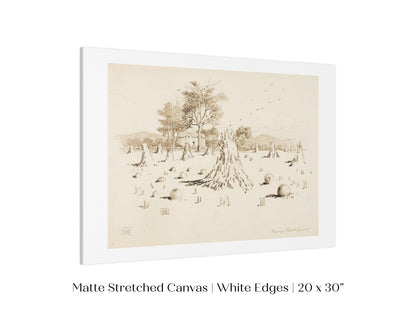 Harvest Sketch | P188 - Single Art Prints - Piccolo Fiore Prints