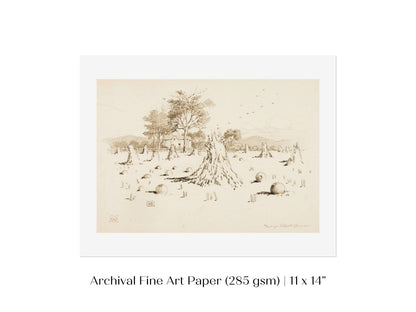 Harvest Sketch | P188 - Single Art Prints - Piccolo Fiore Prints