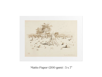 Harvest Sketch | P188 - Single Art Prints - Piccolo Fiore Prints