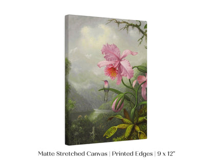 Hummingbird and Pink Orchid | P454 - Single Art Prints - Piccolo Fiore Prints