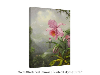 Hummingbird and Pink Orchid | P454 - Single Art Prints - Piccolo Fiore Prints