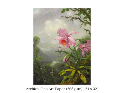 Hummingbird and Pink Orchid | P454 - Single Art Prints - Piccolo Fiore Prints