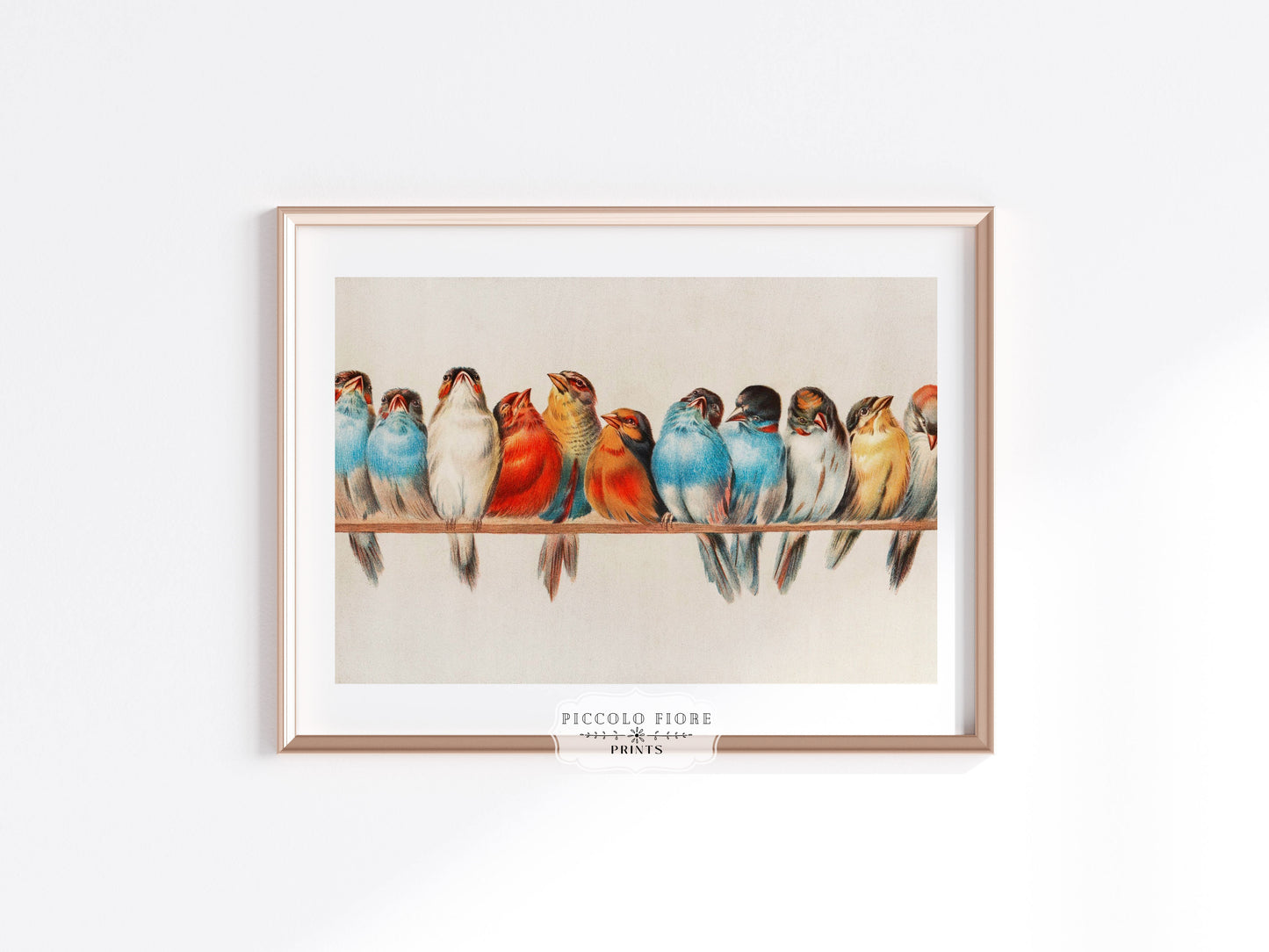 A Perch of Birds | Gallery Wall Set | 2 Prints | S11-1.2