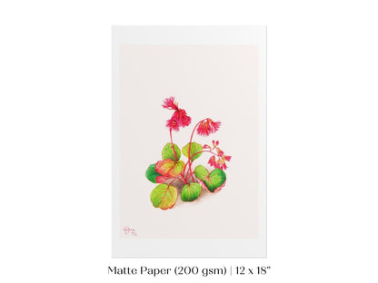 Iwakagami Illustration | P164 - Single Art Prints - Piccolo Fiore Prints