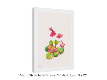 Iwakagami Illustration | P164 - Single Art Prints - Piccolo Fiore Prints
