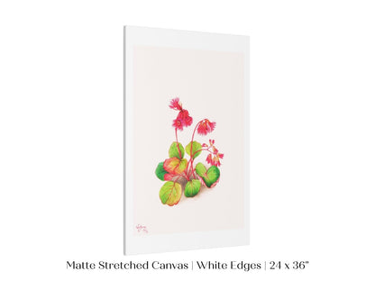 Iwakagami Illustration | P164 - Single Art Prints - Piccolo Fiore Prints
