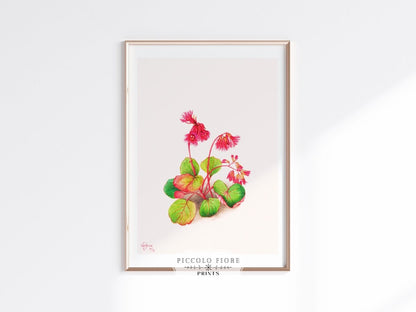 Iwakagami Illustration | P164 - Single Art Prints - Piccolo Fiore Prints