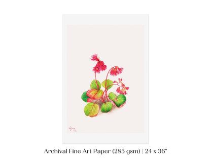 Iwakagami Illustration | P164 - Single Art Prints - Piccolo Fiore Prints