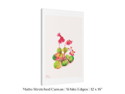 Iwakagami Illustration | P164 - Single Art Prints - Piccolo Fiore Prints