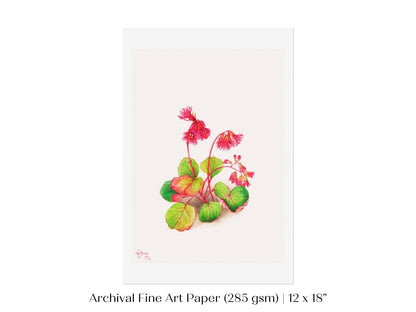 Iwakagami Illustration | P164 - Single Art Prints - Piccolo Fiore Prints