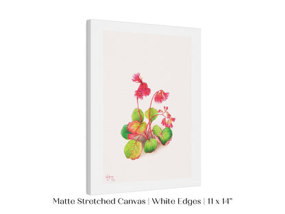 Iwakagami Illustration | P164 - Single Art Prints - Piccolo Fiore Prints