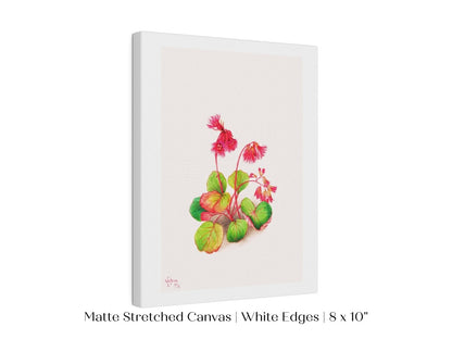 Iwakagami Illustration | P164 - Single Art Prints - Piccolo Fiore Prints