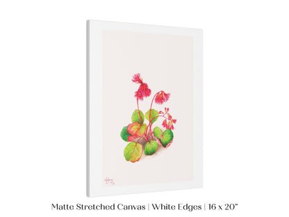 Iwakagami Illustration | P164 - Single Art Prints - Piccolo Fiore Prints