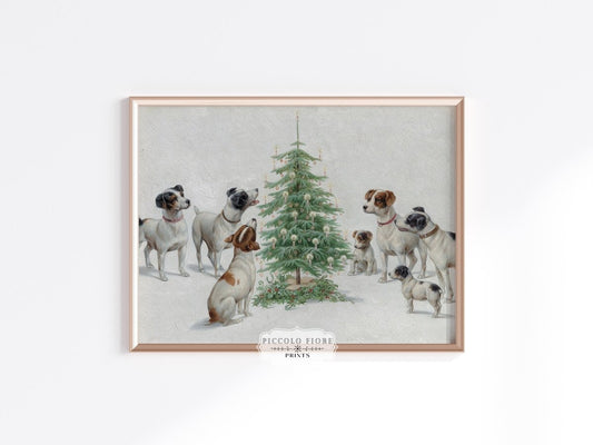 Jack Russell Christmas | P413 - Single Art Prints - Piccolo Fiore Prints