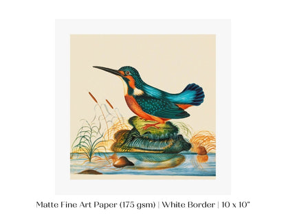 Kingfisher | P304 - Single Square Art Prints - Piccolo Fiore Prints