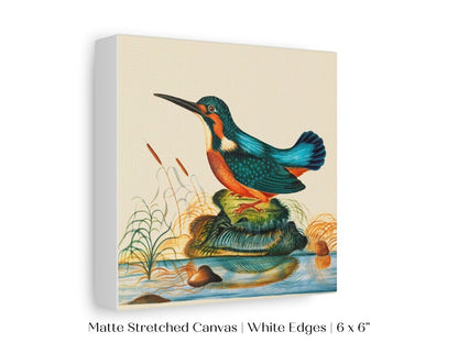 Kingfisher | P304 - Single Square Art Prints - Piccolo Fiore Prints