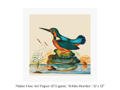 Kingfisher | P304 - Single Square Art Prints - Piccolo Fiore Prints