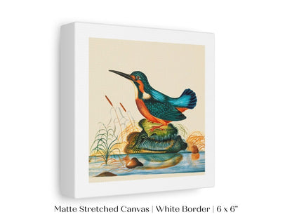 Kingfisher | P304 - Single Square Art Prints - Piccolo Fiore Prints