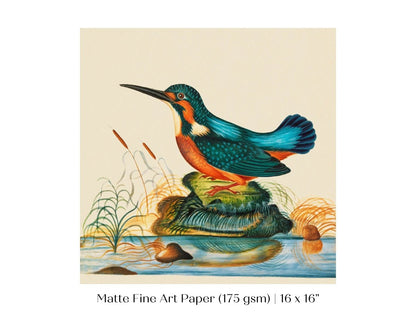 Kingfisher | P304 - Single Square Art Prints - Piccolo Fiore Prints