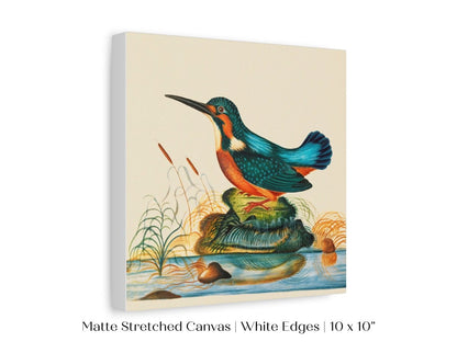 Kingfisher | P304 - Single Square Art Prints - Piccolo Fiore Prints