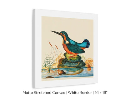 Kingfisher | P304 - Single Square Art Prints - Piccolo Fiore Prints