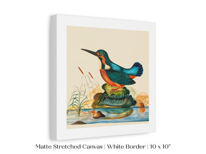 Kingfisher | P304 - Single Square Art Prints - Piccolo Fiore Prints