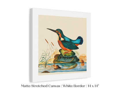 Kingfisher | P304 - Single Square Art Prints - Piccolo Fiore Prints