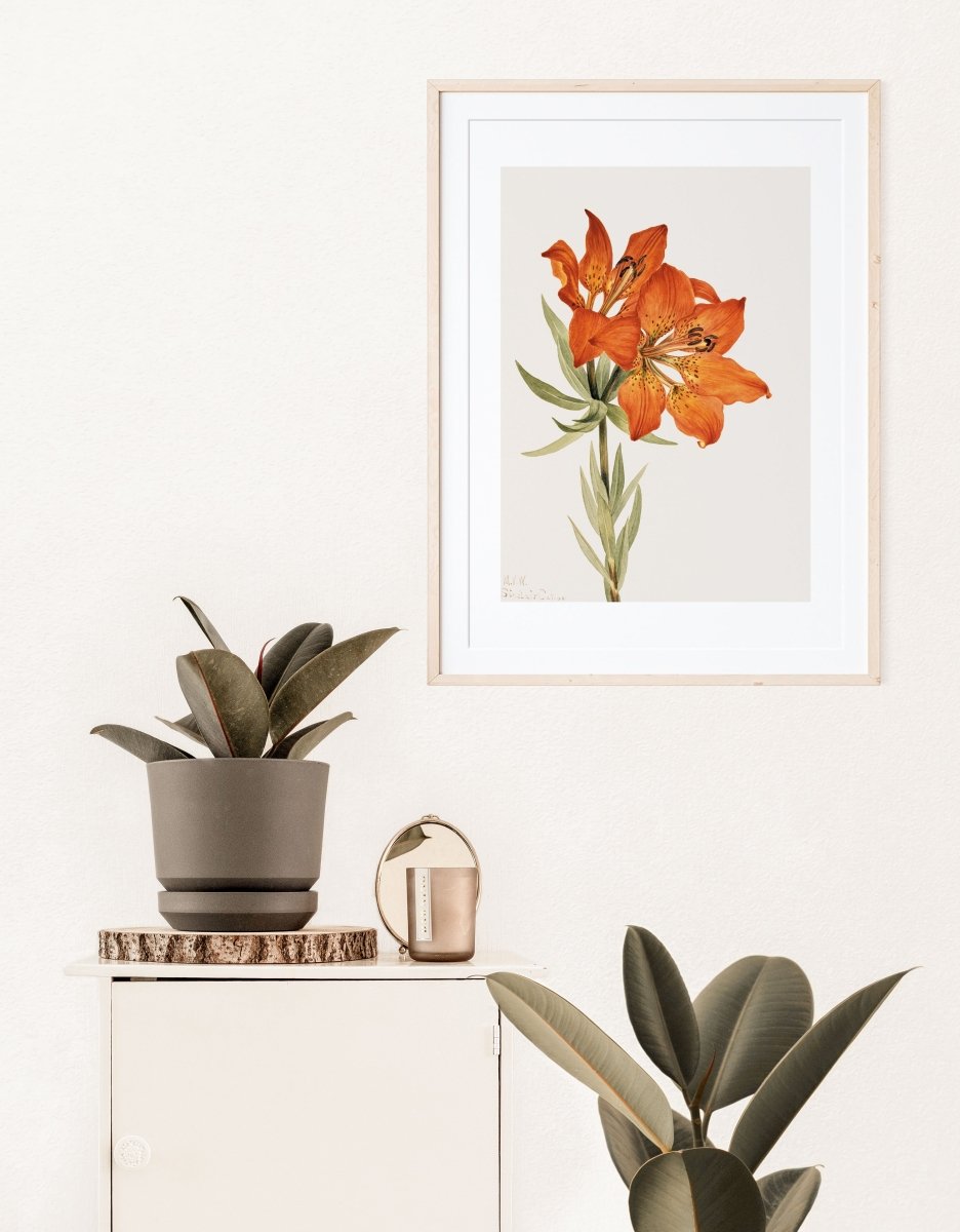 Lily Illustration | P88 - Single Art Prints - Piccolo Fiore Prints