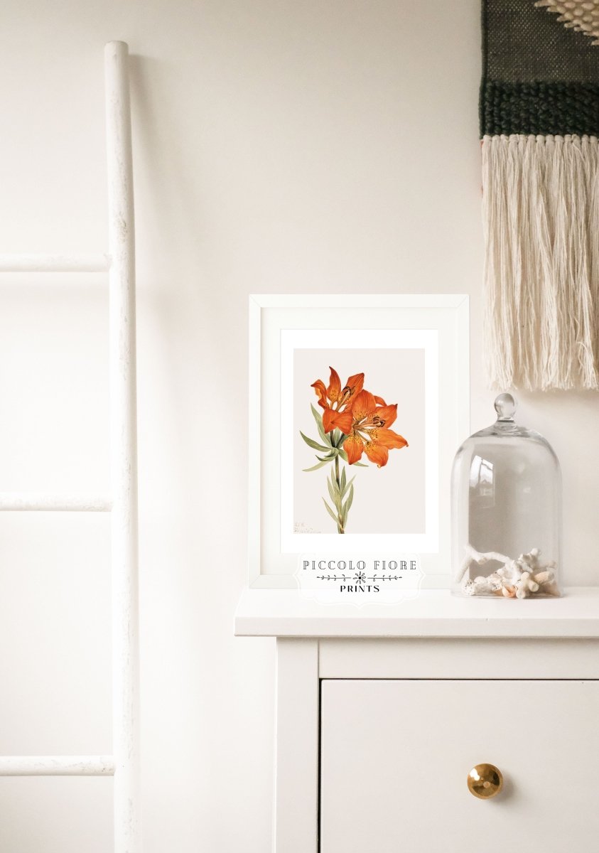 Lily Illustration | P88 - Single Art Prints - Piccolo Fiore Prints