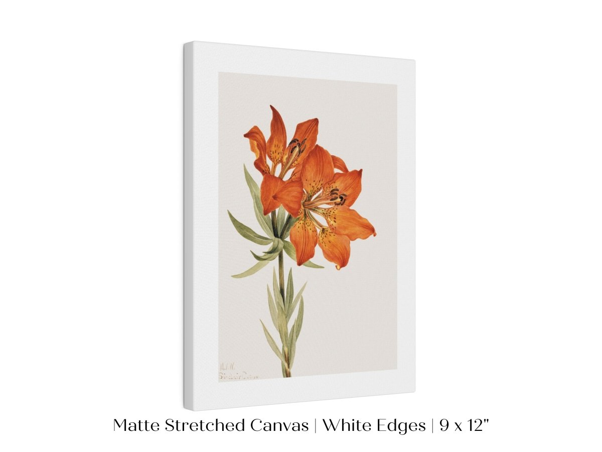 Lily Illustration | P88 - Single Art Prints - Piccolo Fiore Prints