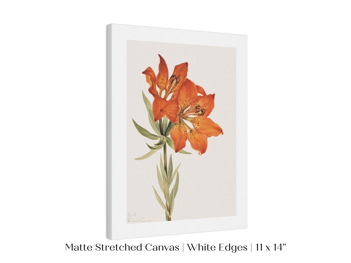 Lily Illustration | P88 - Single Art Prints - Piccolo Fiore Prints