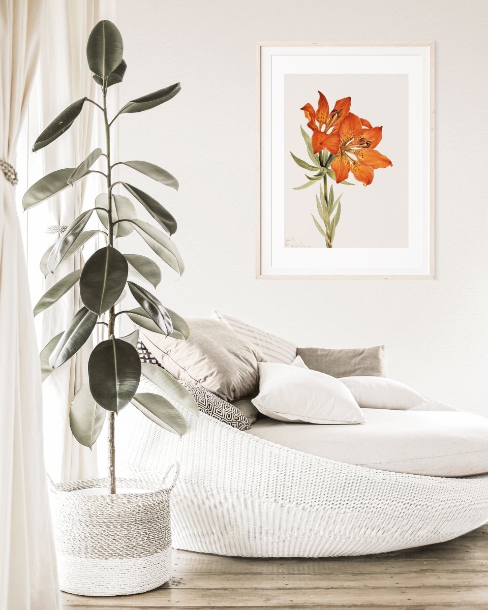 Lily Illustration | P88 - Single Art Prints - Piccolo Fiore Prints