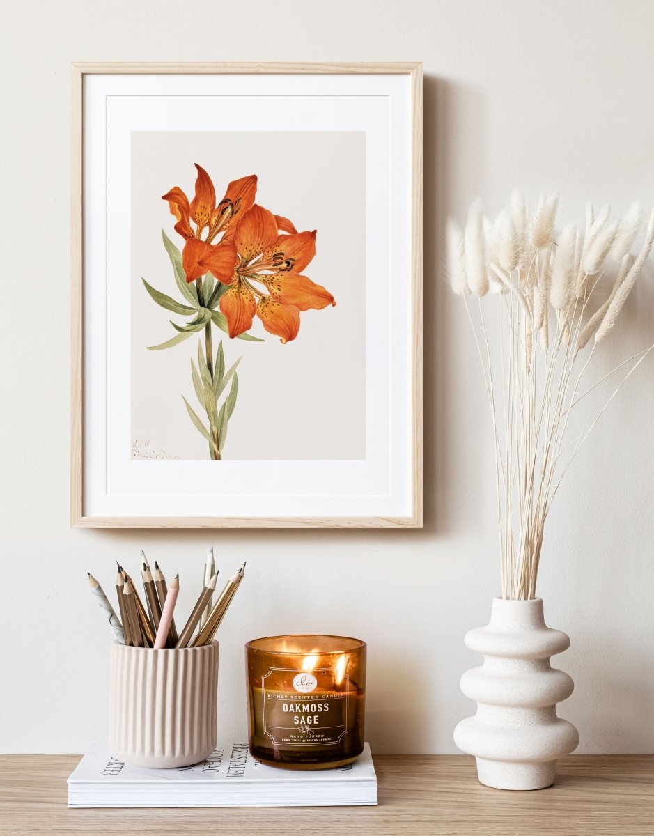 Lily Illustration | P88 - Single Art Prints - Piccolo Fiore Prints