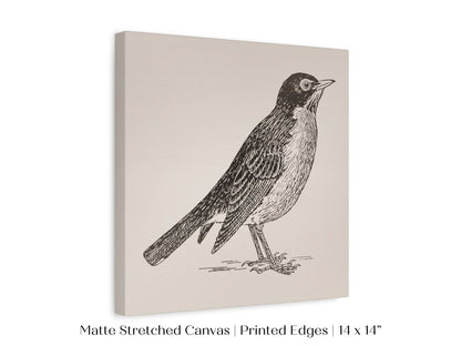 Little Robin | P387 - Single Square Art Prints - Piccolo Fiore Prints