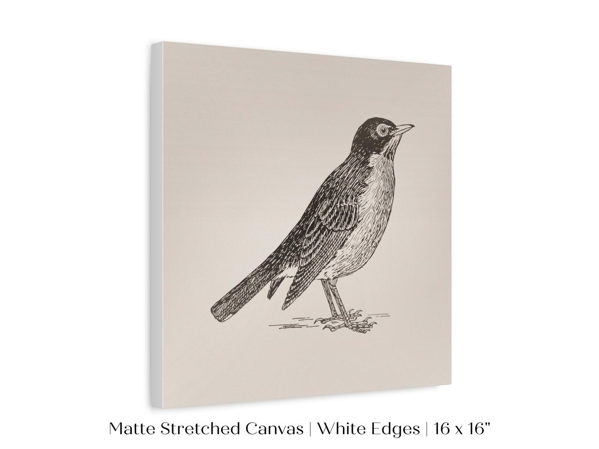 Little Robin | P387 - Single Square Art Prints - Piccolo Fiore Prints