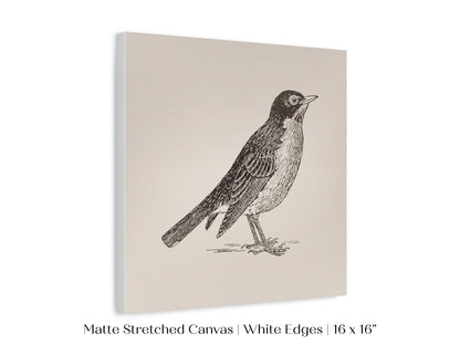 Little Robin | P387 - Single Square Art Prints - Piccolo Fiore Prints