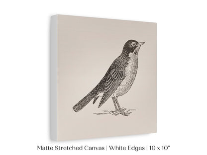Little Robin | P387 - Single Square Art Prints - Piccolo Fiore Prints